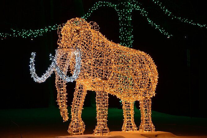 From Toronto:Winter Festival of Lights Niagara Falls Evening Tour - Niagara Falls close-up options: Journey Behind the Falls and Skylon Tower